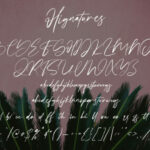 Hignatures Font Poster 7