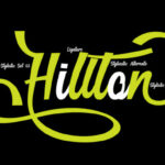 Hillton Modern Script Font Poster 3