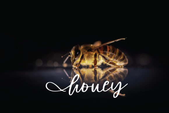 Honey Font Poster 1