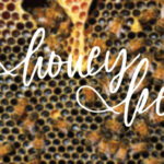 Honey Font Poster 4
