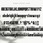 Honey Bunney Font Poster 10