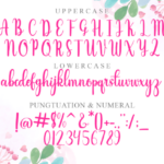 Infelinery Font Poster 6