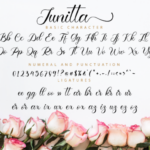 Junitta Font Poster 11