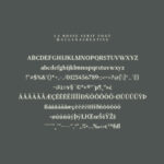 La Rosse Font Poster 8