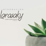 Larasaky Font Poster 1