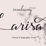 Larisa Font Poster 1