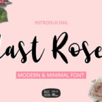 Last Rose Font Poster 1