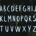 Leafy Font Poster 3