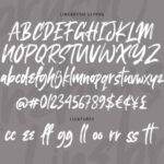 Linebrush Font Poster 7