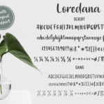 Loredana Font Poster 7