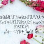 Love Blossom Font Poster 5