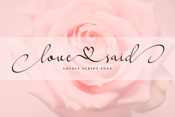 Love Said Font Poster 1