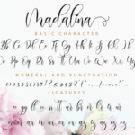 Madalina Font Poster 11