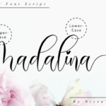 Madalina Font Poster 10