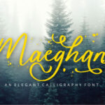 Maeghan Font Poster 1