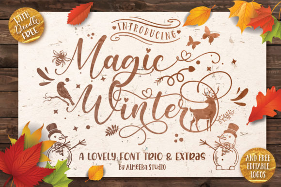 Magic Winter Trio Font Poster 1