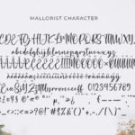 Mallorist Font Poster 9