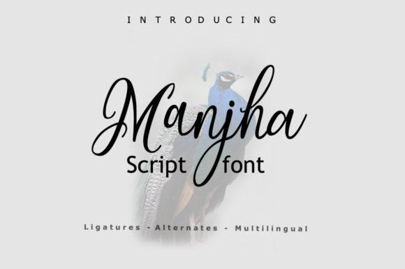 Manjha Font Poster 1