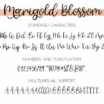 Marigold Blossom Font Poster 6