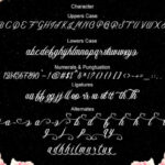 Maybeline Font Poster 6