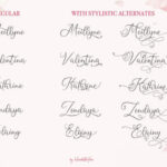 Meillyne Font Poster 11