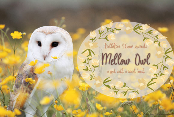 Mellow Owl Font Poster 1