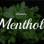 Menthol Font Poster 1