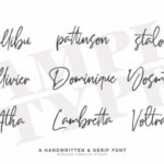 Millton Duo Font Poster 7