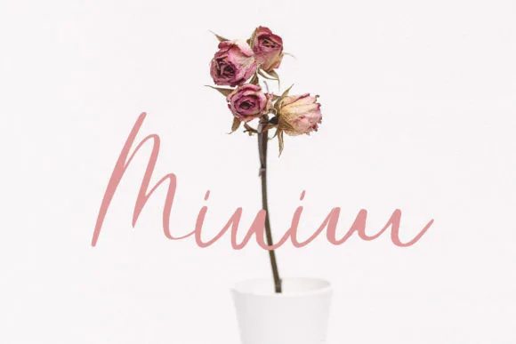 Minim Font Minim Font Poster 1