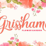 Misha Gergoval Font Poster 4