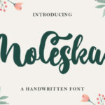 Moleska Font Poster 1