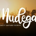 Mudega Font Poster 1