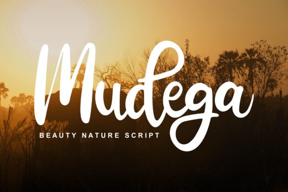 Mudega Font Poster 1