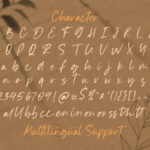 Mystique Font Poster 14