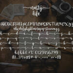 Nasty Life Font Poster 7