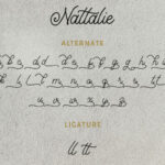 Nattalie Font Poster 12