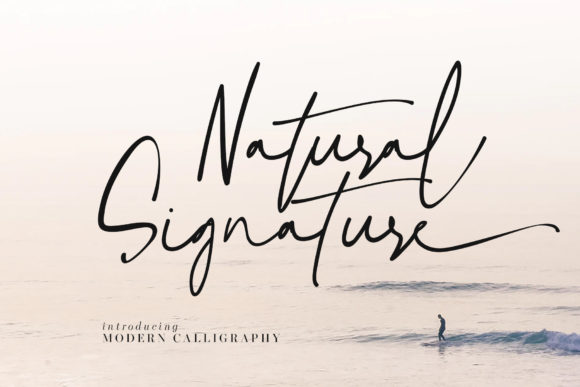 Natural Signature Font Poster 1