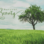 Nature Font Poster 2