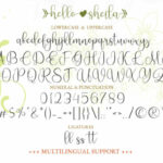  Hello Sheila Font Poster 9