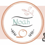 Noah Font Poster 1