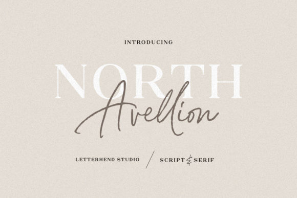 North Avellion Duo Font Poster 1