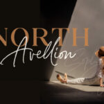North Avellion Duo Font Poster 2