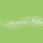 Northern Petal Font Poster 6
