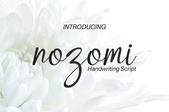 Nozomi Font Poster 1