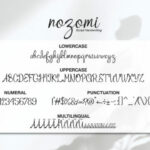 Nozomi Font Poster 6