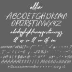 Ollia Font Poster 13