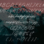 Oneliner Font Poster 5