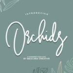 Orchids Font Poster 1