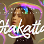 Otakatta Font Poster 1