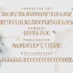 Phoebe Willow Font Poster 3